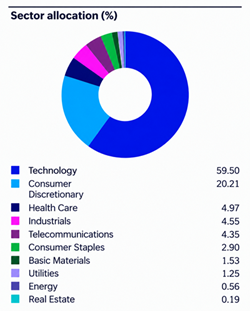 Gráfico de distribución sectorial explicando que es un ETF con tecnología como principal sector