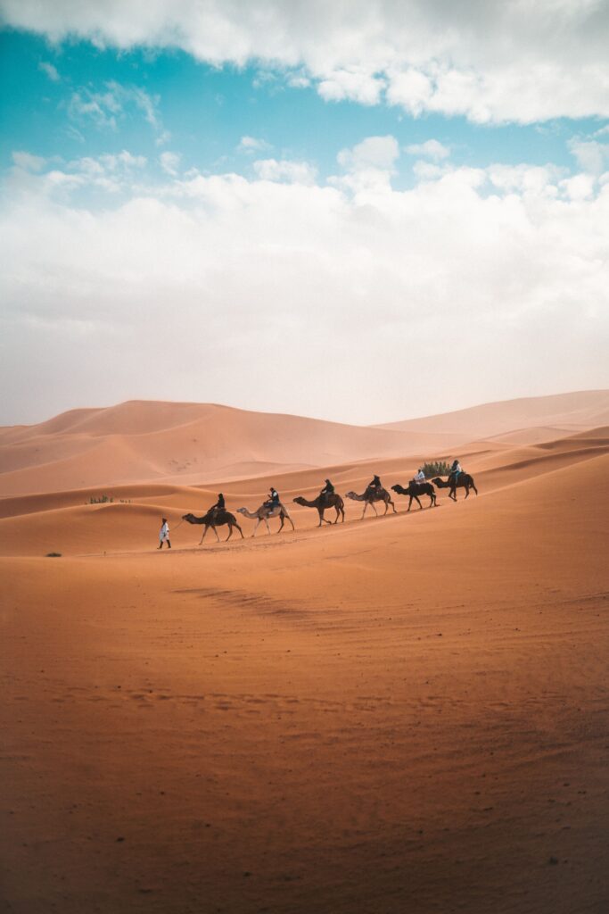 Camellos atravesando las dunas del desierto, representando los viajes de expedición y experiencias exclusivas de NUBA Club.